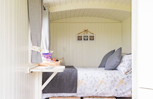 Ashford Cabin | Moss Shepherd's Hut by Bloom Stays - sleeps 2 in eco shepherds hut