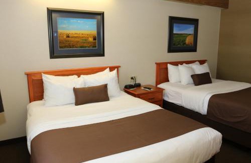 Minot Hotel | Motel 6 Minot, ND