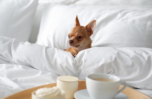 Sevierville House | Mountain Breeze By Beyond Expectations W Hot Tub