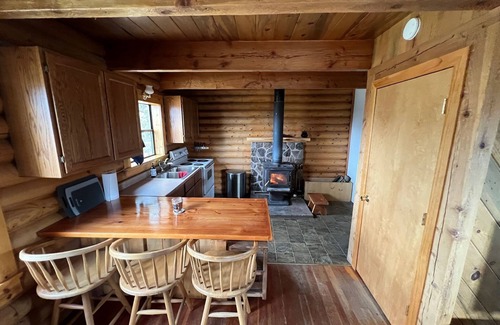 Alturas Cabin | Mountain Cabin Getaway - The Cranky Canard