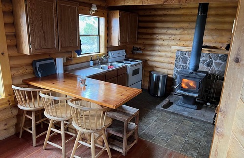 Alturas Cabin | Mountain Cabin Getaway - The Cranky Canard