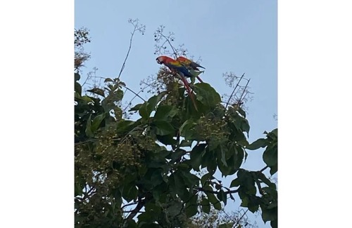 Carara House | Mountain Paradise with 9 Waterfalls & guest house