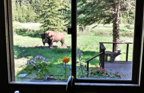Silver Gate House | Mountain View House Right on Soda Butte Creek