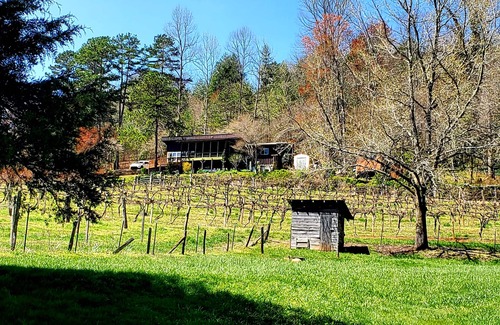 Franklin House | Mountain view cabin, fully remodeled, huge screen in porch with panoramic view.
