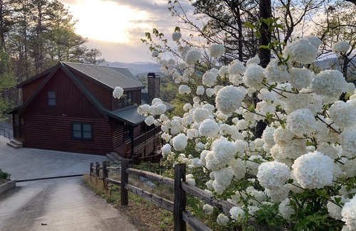 Sautee Nacoochee Cabin | Mountain View Spectacular Cabin Wildlife HotTub Gameroom Firepit Helen, SauteeGa