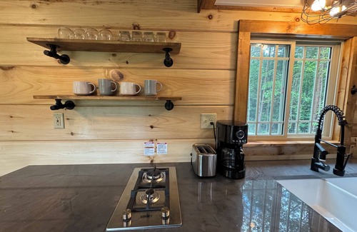 Cleveland Cabin | Mountainside Retreat with Mountain Views, Charming cabin with WiFi, AC