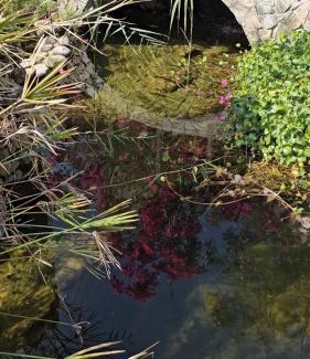 Hatta Cabin | Mughaibar Fort Resort