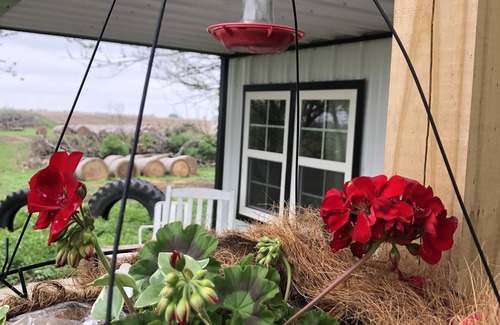 Warren County Cottage | Mulberry Cottage Farm-Stay. A unique farm-stay in Southern Iowa