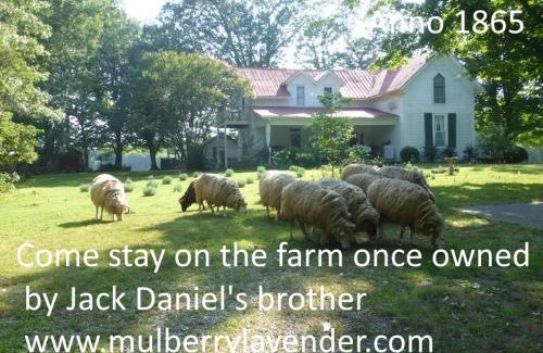 Mulberry Bed & Breakfast | Mulberry Lavender Farm and B&B