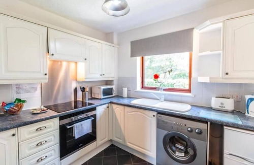 Paisley Apartment | Mycosy 605, 1 BR Apartment, Great Location - Paisley
