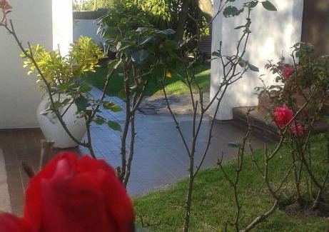 Carmelo Apartment | Mykonos Carmelo