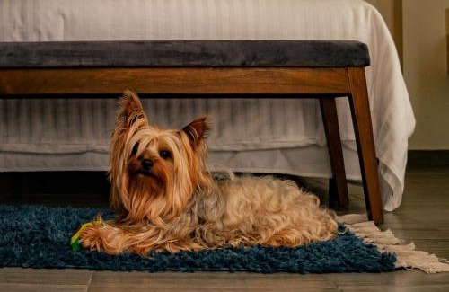 De La Merced Apartment | Na Hotel