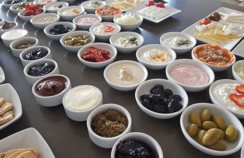 Ma'ayan Baruch Cabin | Nano's Place