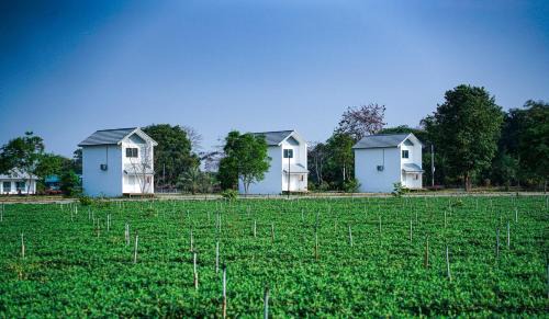 Nong Chaeng Hotel | Naoat Resort Farm & Cafe