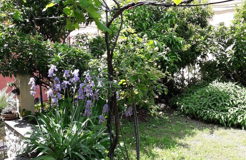 Levanto Apartment | NAPOLEONE PRIMO Apartment/flat in the heart of city of Levanto