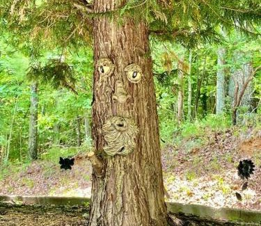 Morganton Villa | Nature is Calling Cabin