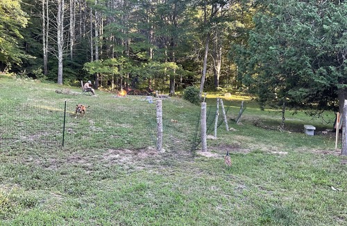 Salisbury House | Nature lovers dream. Secluded river property surrounded by forest.