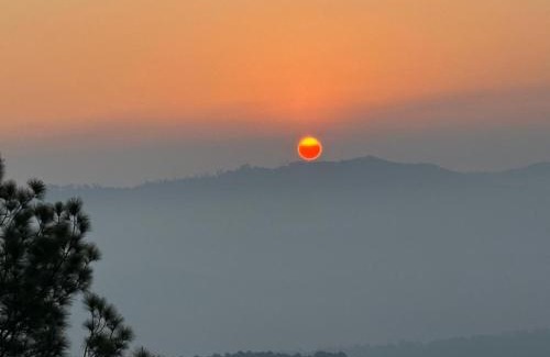 Almora House | Nature Valley Homestay Shaukiyathal