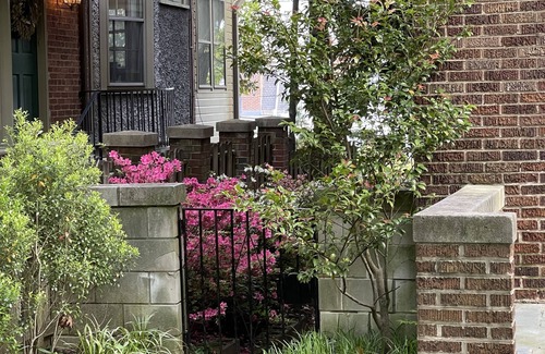 Forest Hills Apartment | nBig and Comfy in Forest HillsCleveland Park by the Metro & Zoo! King Size Bed!