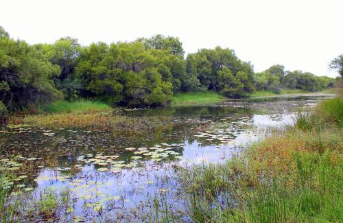 Hammanskraal House | Ndlovu Log Home Dinokeng