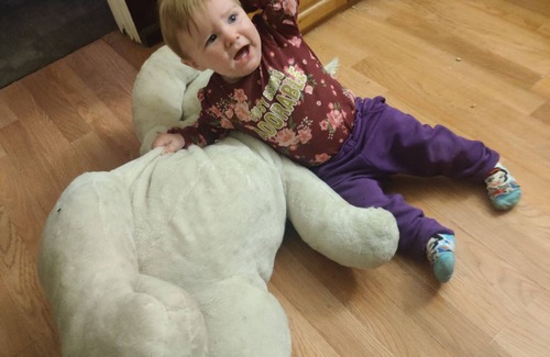 Golconda Apartment | Neat little apartments!