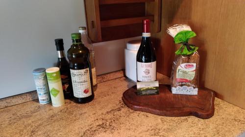 Villar San Costanzo Apartment | Nel Verde