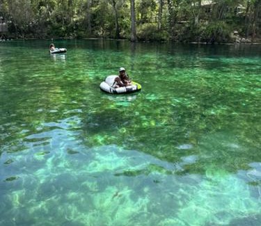 Trenton Other | Nemi 1