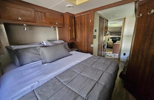 Trenton Other | Nemi 1