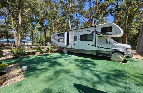 Trenton Other | Nemi 1