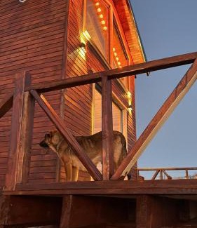 Kabaduz Ski Chalet | Nest Çambaşı Bungalow Ordu