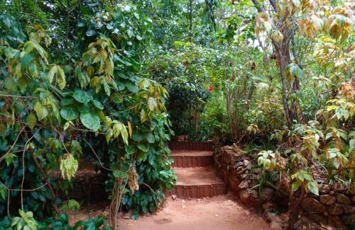 Moragaswewa House | Nethu Herbal Villa