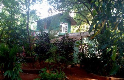 Moragaswewa House | Nethu Herbal Villa