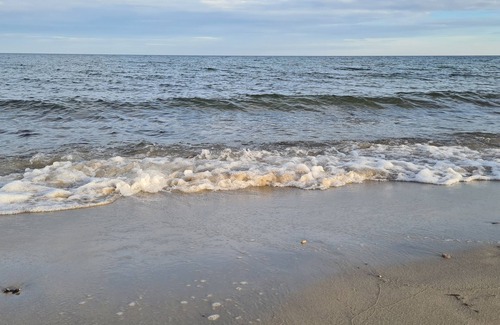 Maasholm-Bad Apartment | Nette Kleine Studiowohnung Nur 400m zum Strand. 1 Hund Erlaubt