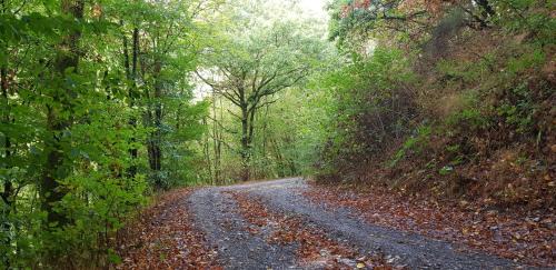 Lutzerath Apartment | Neumühle Ferienwohnung 2
