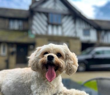 Elland House | New Hall, Elland