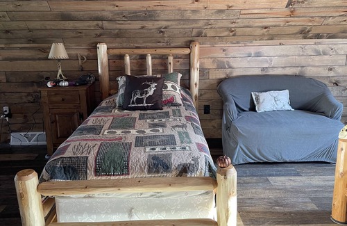 Custer Cabin | NEW! 'Hidden Wonder'—15 Min. to SentryWorld Golf Course!