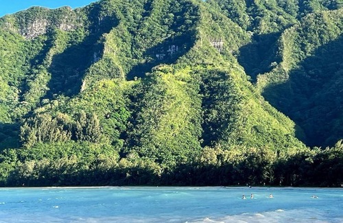 Punaluu Apartment | New Oceanfront! Fully equipped 1bed/1bath apt on the beach in Punaluu