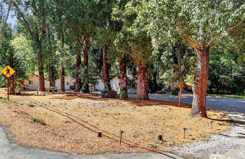 Cobb Apartment | NEW! Rouge Cobb Mountain Hotel - Cabin 3