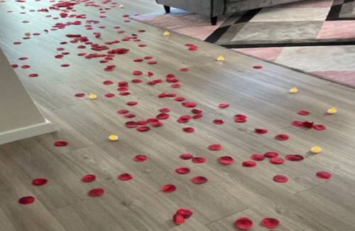 Downtown Baltimore Apartment | New serene 5 min UMMC High ceilings We Love pets