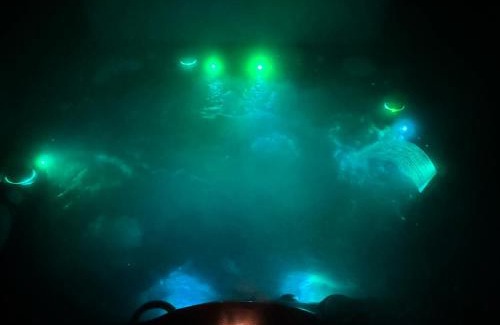 Weed House | Newer Cozy Guest Cottage with Saltwater Spa!