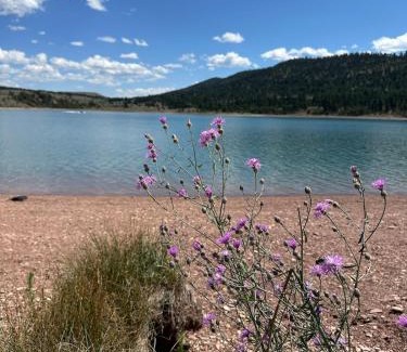 Lewistown House | Newly-Built Modern Farmhouse in Lewistown, MT