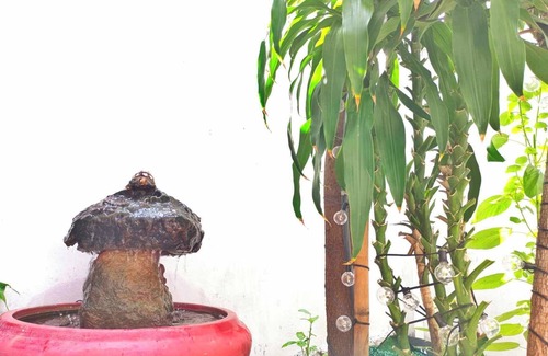 Ratchadaphisek Villa | Newly opened 4 bedroom, 6 beds and 5 bathroom Villa in Bangkok