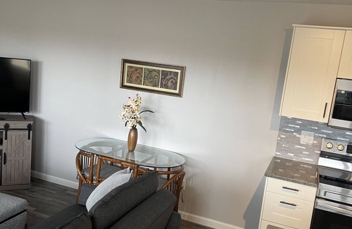 Notch Estates Condo | Newly updated 1 br, 1 bath, walk-in, free wifi, park by door, 1 mile to SDC.