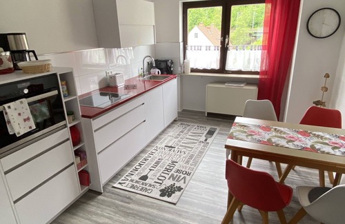 Hirschhorn Apartment | Nice central apartment with S-Bahn connection to Heidelberg and castle view