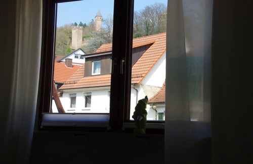 Hirschhorn Apartment | Nice central apartment with S-Bahn connection to Heidelberg and castle view