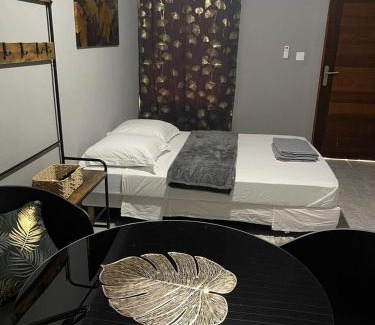 Arrondissement of St-Laurent-du-Maroni Apartment | Nice Studio Flore