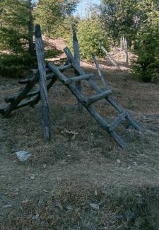 Renuka Other | Niharika camps