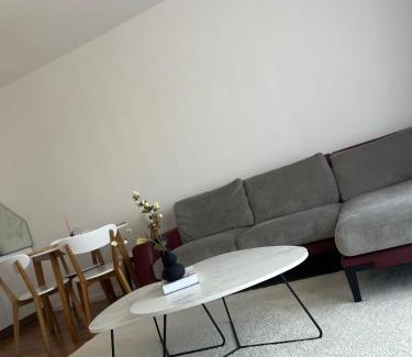 Kolovicë Apartment | Nil Apartment
