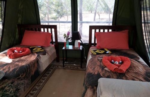 Finniss Valley Other | Nina's Ark Wildlife Sanctuary Package