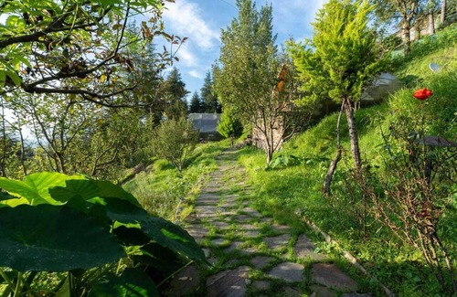 Rajgarh Cottage | Nirvana Dhar Nature Resort